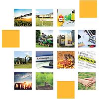 Landakademie Sonnewalde image